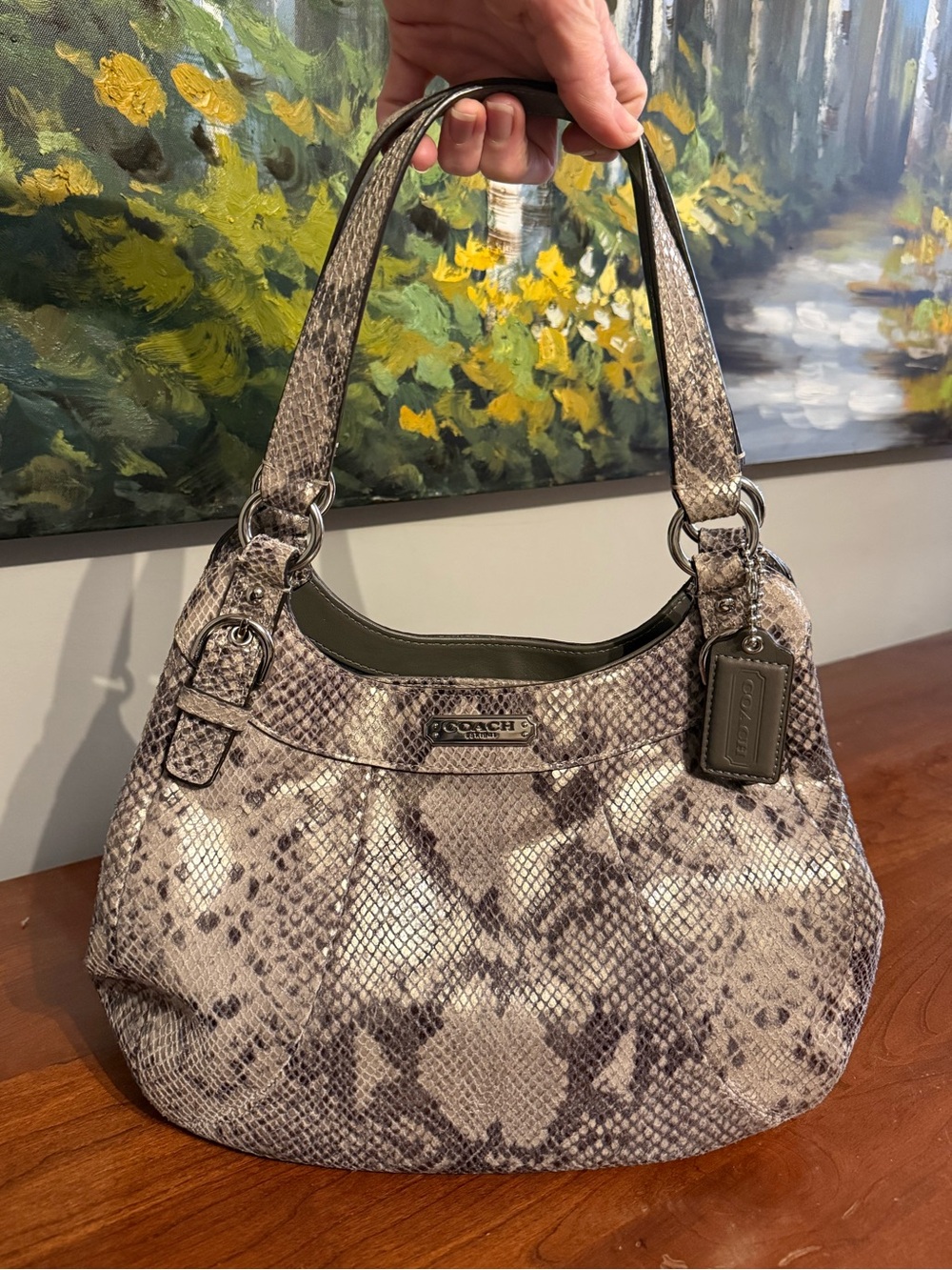 Coach Madison Maggie Leather Python/Snake Print SOFT Hobo Shoulder Bag 🐍
